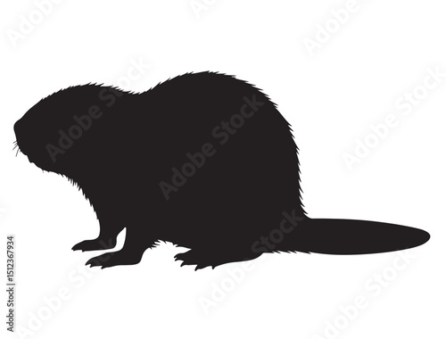 Beaver Silhouette White Background