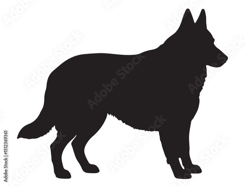 Belgian Shepherd Silhouette