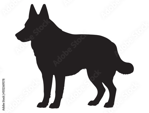 Belgian Shepherd Silhouette