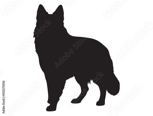 Belgian Shepherd Silhouette