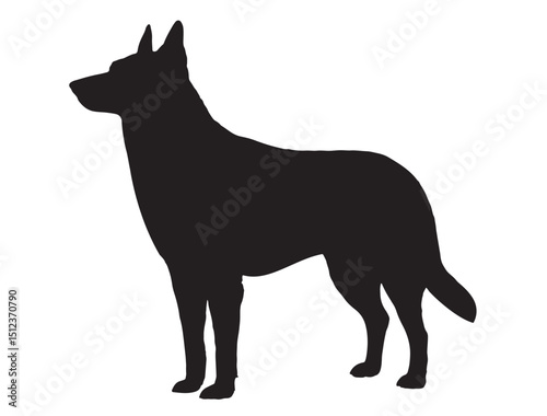 Belgian Malinois Dog silhouette 