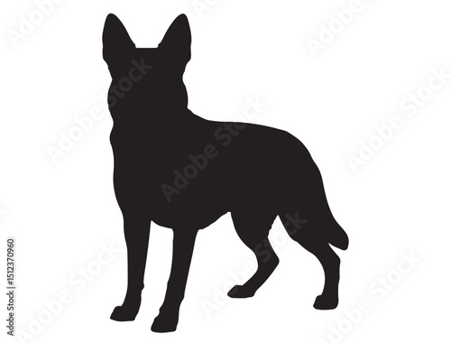 Belgian Malinois Dog silhouette 