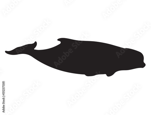 Beluga Whale Silhouette