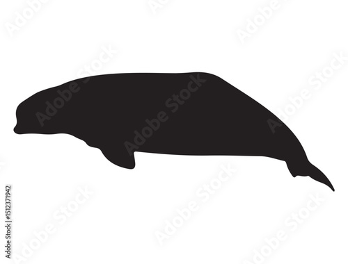 Beluga Whale Silhouette