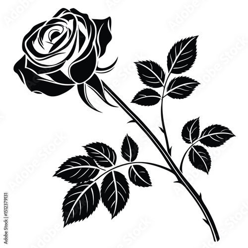Elegant rose flower in black and white sketch style for romantic floral design, tattoos, packaging, and greeting cards