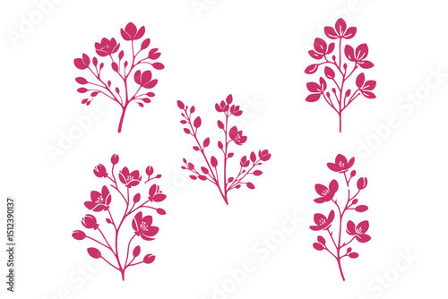 Set of redbud flower vectors on white background. 