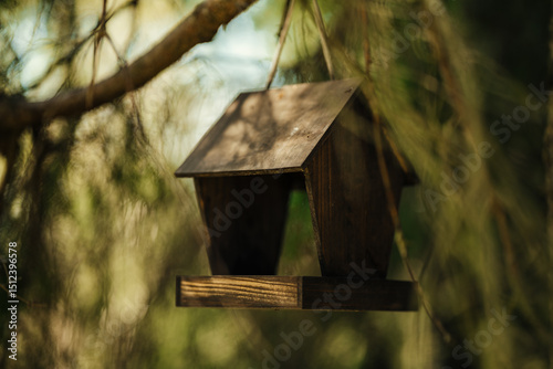 Wooden bird feeder hanging in a pine tree photo