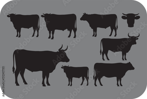 Silhouette Vector Illustration of Various Cattle Breeds Including Angus Hereford and Brahman on a Gray Background for Agricultural or Livestock Related Designs