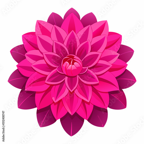 Fuchsia dahlia illustration with intricate detailed petals and colorful close up view
