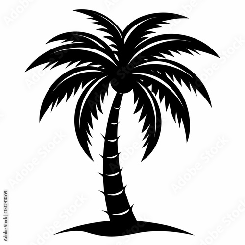 Tropical palm tree silhouette with thick trunk