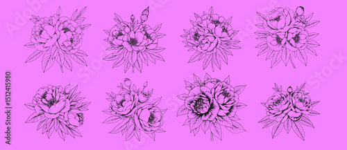 Elegant Peony Bouquet Collection: Eight exquisite line art illustrations of blooming peonies, showcasing their delicate petals and lush foliage on a lilac background.
