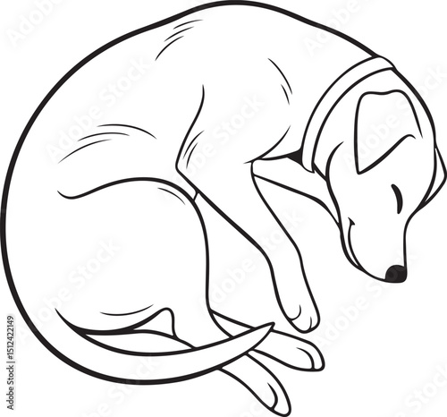 Minimalist sleeping dog line art, curled pet illustration