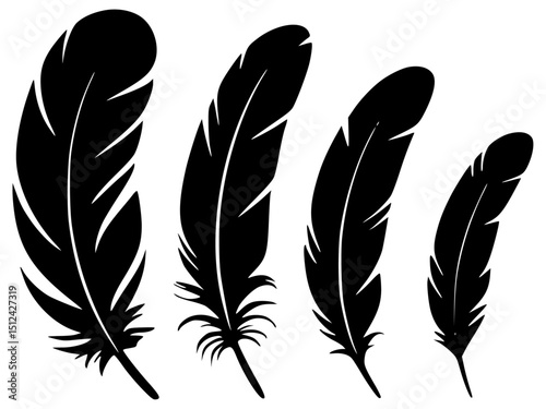 Vector Set of Black Feather Silhouettes in Various Shapes and Sizes