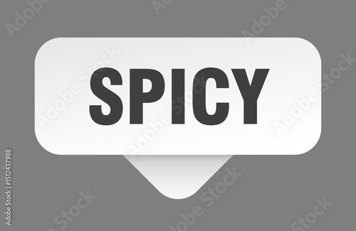 spicy sticker. spicy sign isolated on gray background