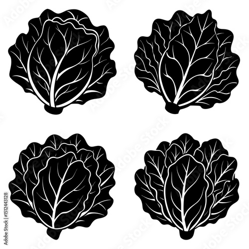 Four stylized black and white cabbage heads with detailed leaf patterns arranged on a white background