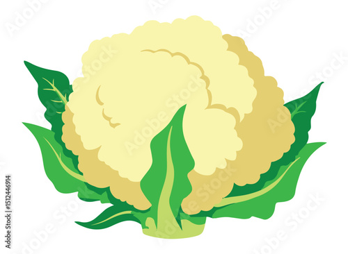 A flat, simplistic design illustrated cartoon cauliflower head with leaves