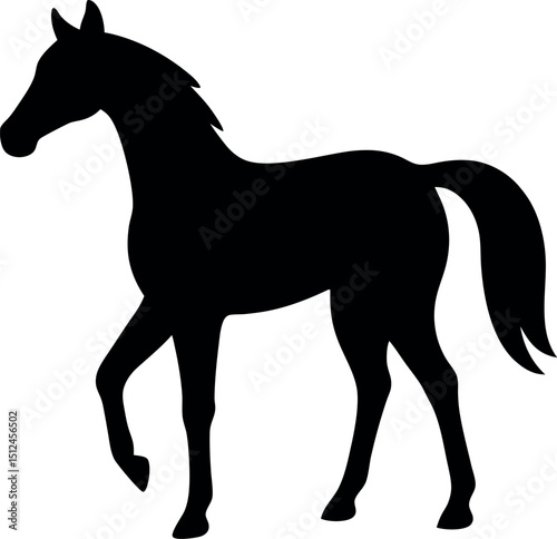 Horse Silhouette Graphic

