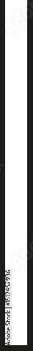 A thick outlined long vertical rectangle with no side opening.