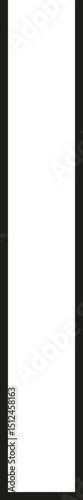 A thick outlined long vertical rectangle with no side opening.