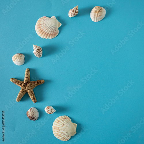 Shells and a starfish decorate the blue tablecloth