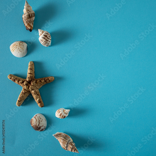 A blue wall bathed in summer sunshine decorated with starfish and shells