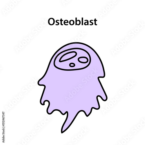 Osteoblast