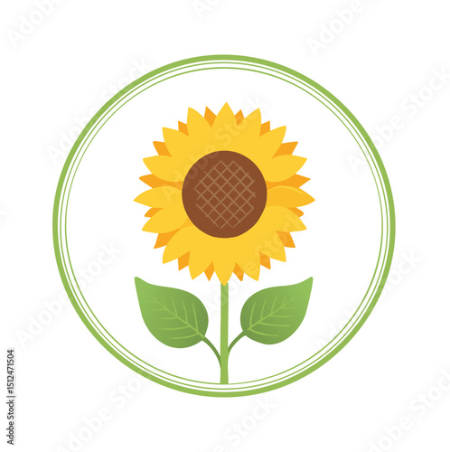Single sunflower in green circle simple design