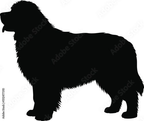 Newfoundland Dog Silhouette, Isolated Pet Shape, Animal Graphic on Transparent