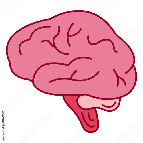 Side view brain color stroke