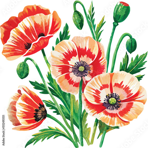 Vibrant watercolor poppy flowers icon