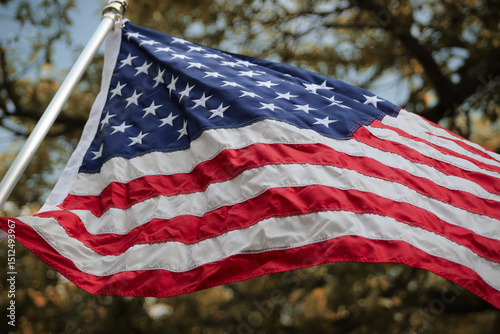 looking up at an united states flag waving in the breeze. american holiday design element. autumn landscape in the background.