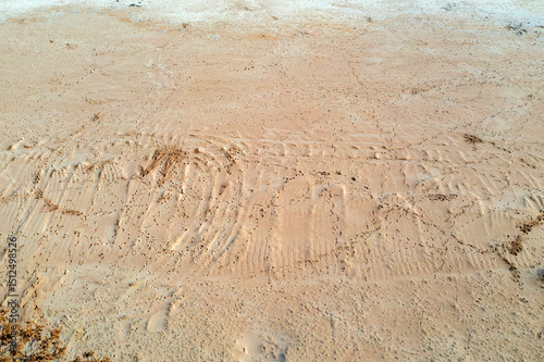 Sand texture with many traces. Summer abstract background.