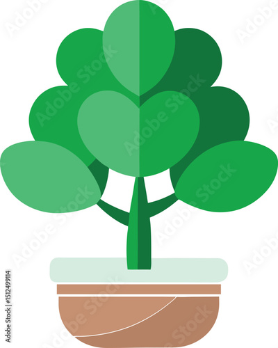 flat color jade plant on the white background