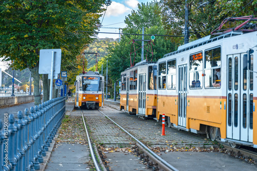 Charming Spring Scene of Budapest Trams Surrounded by Vibrant Spring Colors