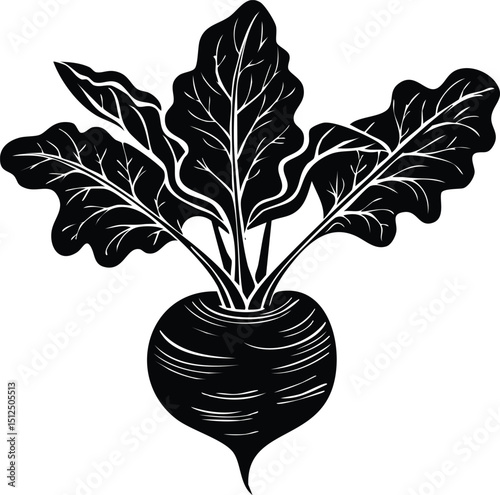 Kohlrabi with Leaves Silhouette | Natural Black Art for Vegan Illustration Vector