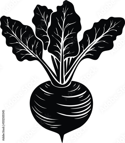 Kohlrabi with Leaves Silhouette | Natural Black Art for Vegan Illustration Vector