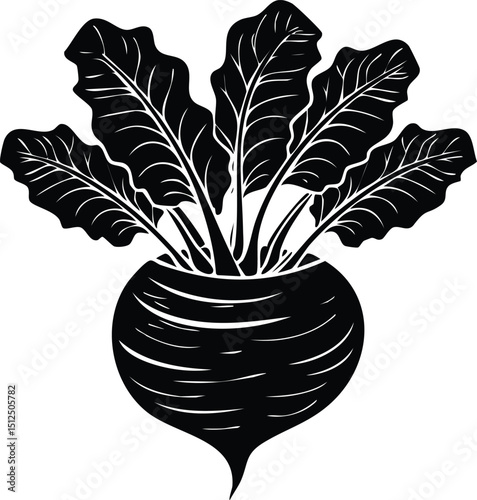 Kohlrabi with Leaves Silhouette | Natural Black Art for Vegan Illustration Vector