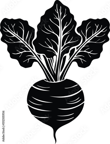 Kohlrabi with Leaves Silhouette | Natural Black Art for Vegan Illustration Vector