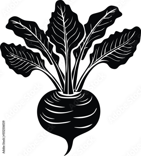Kohlrabi with Leaves Silhouette | Natural Black Art for Vegan Illustration Vector
