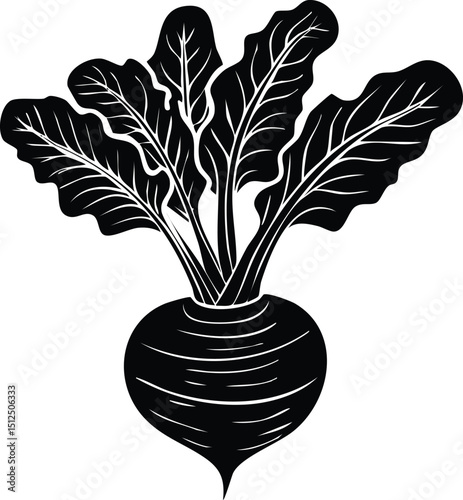Kohlrabi with Leaves Silhouette | Natural Black Art for Vegan Illustration Vector