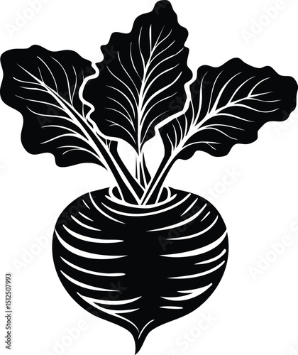 Kohlrabi with Leaves Silhouette | Natural Black Art for Vegan Illustration Vector