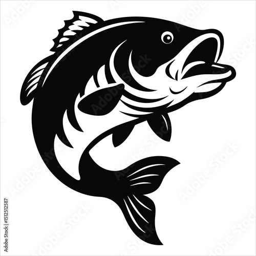 Bass fish vector isolated illustration design