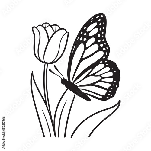 A monochrome butterfly, a beautiful insect with delicate wings, gracefully rests on a pristine white backdrop