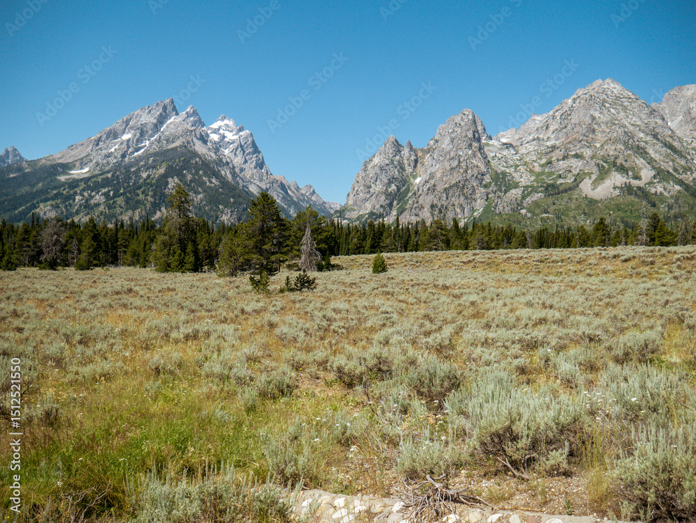 Fototapeta premium Grand Tetons Mountians