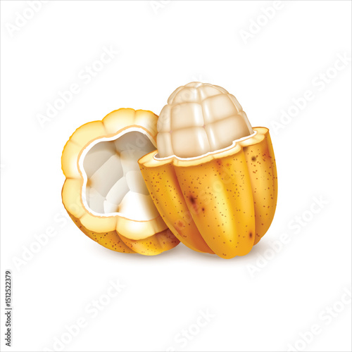 Peeled raw cocoa fruit isolated on white background