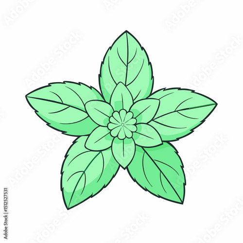 green leaf isolated on white