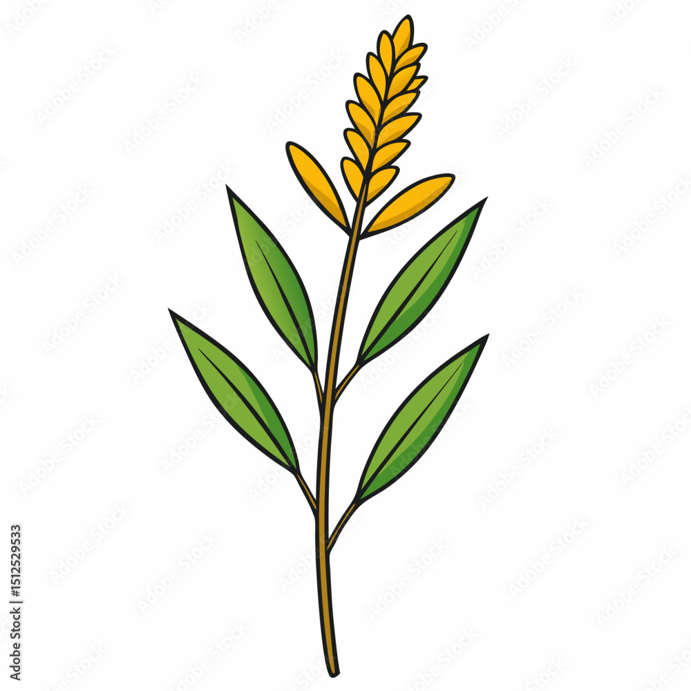 Fototapeta premium vector illustration of a tree