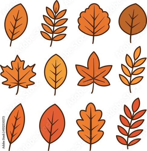 A collection of various autumn leaves in shades of orange and yellow. The leaves are illustrated with simple outlines and diverse shapes.