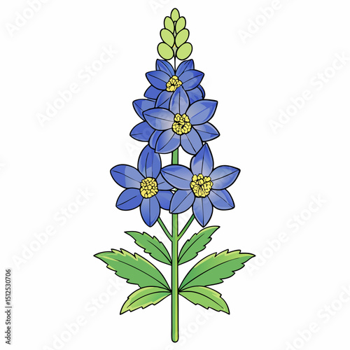 forget me not