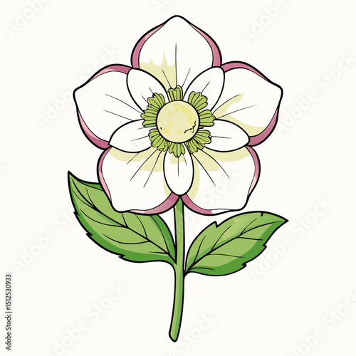 vector illustration of a flower